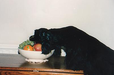 cookie.jpg