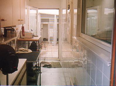 dogroom.jpg