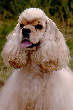 oliver3years.jpg
