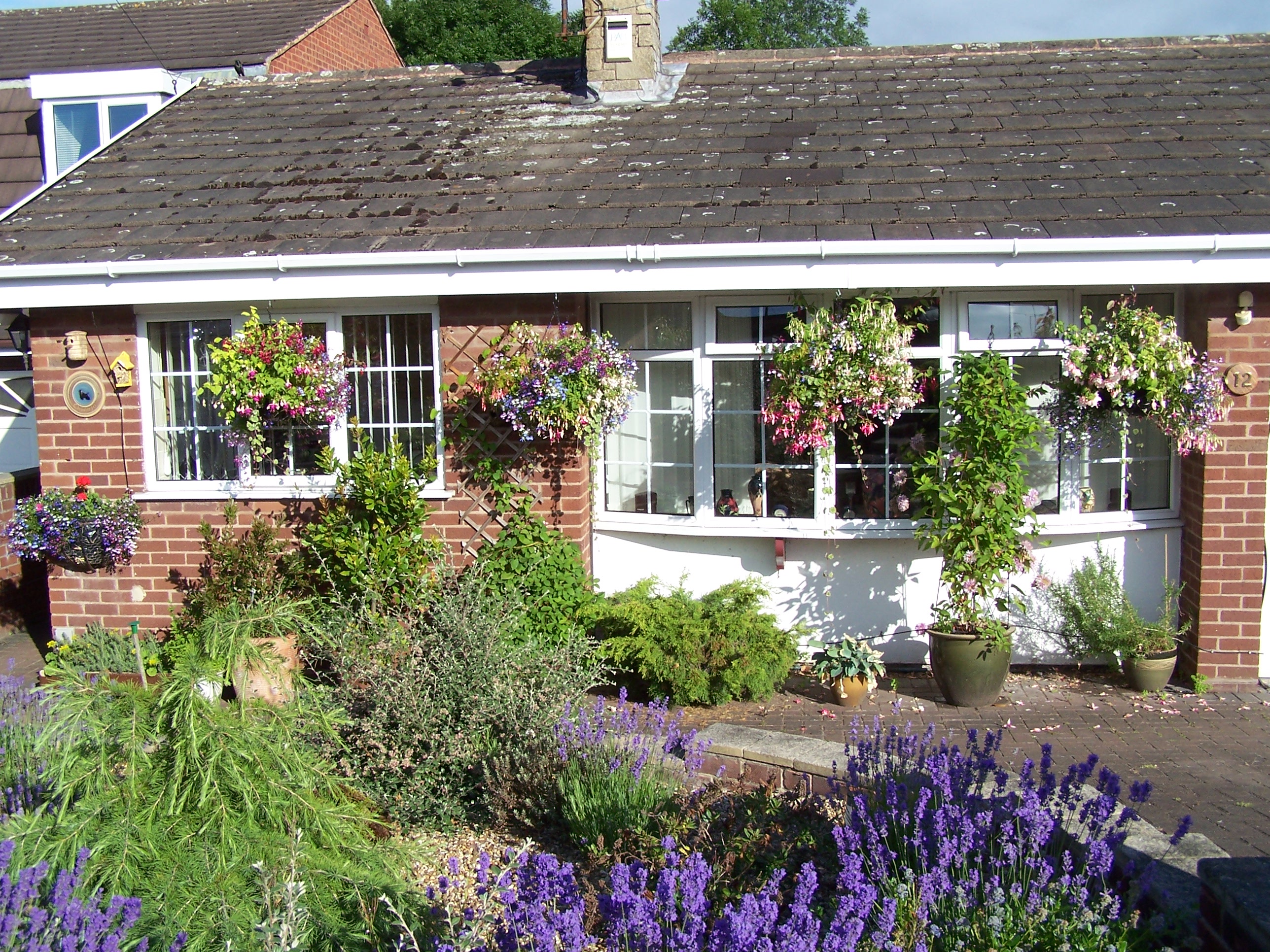 outside2.jpg